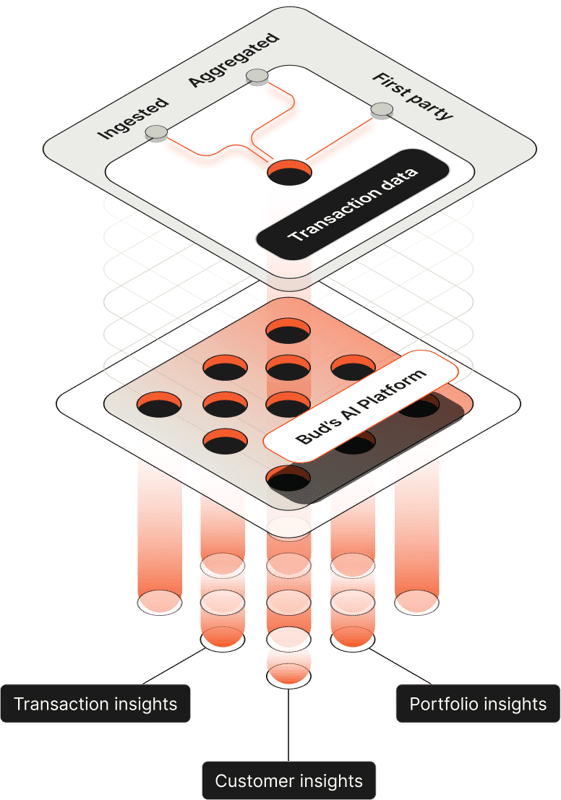 Bud's AI platform can ingest transaction data to provide transaction insights, customer insights and portfolio insights